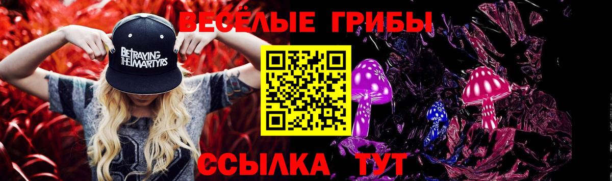 Галлюциногенные грибы Psilocybe Азнакаево